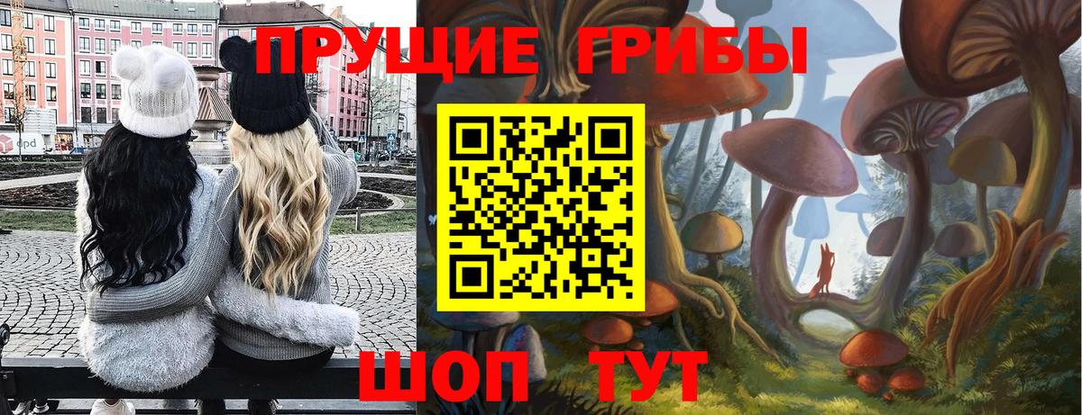 Галлюциногенные грибы ЛСД Новотроицк